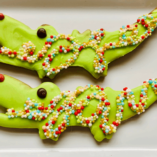 The Christmas Croc