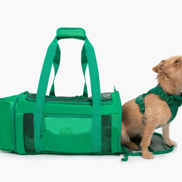 Travel Buddy  - Pet Carrier