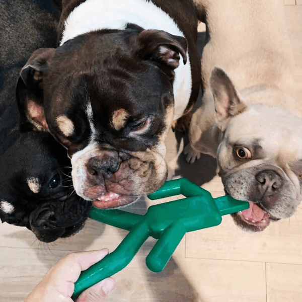Dog Chew Toy - Stop & Go (24 PCS)