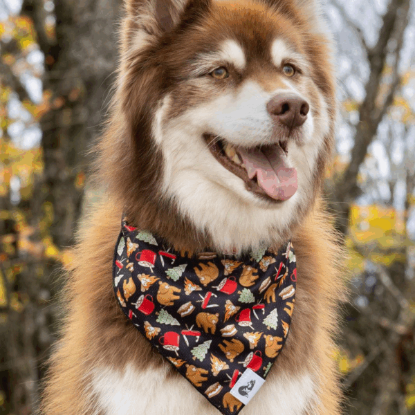 Woodland Tales Dog Bandana