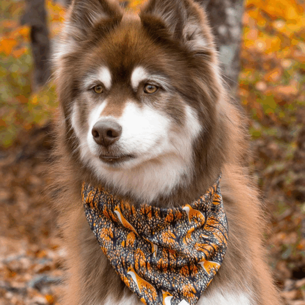 Foxes in Fall Dog Bandana
