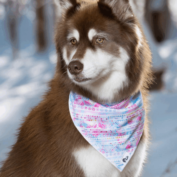 Pink and Blue Tribal Dog Bandana