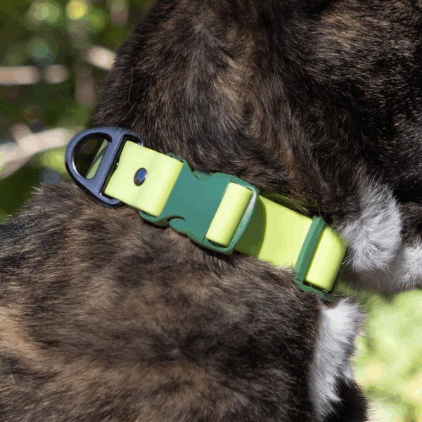 Mossy Pine Waterproof Dog Collar