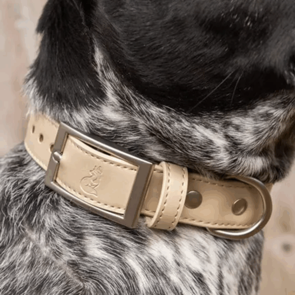Champagne Fizz Vegan Leather Dog Collar