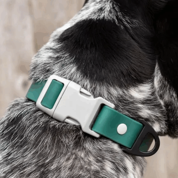 Siberian Spruce Waterproof Dog Collar