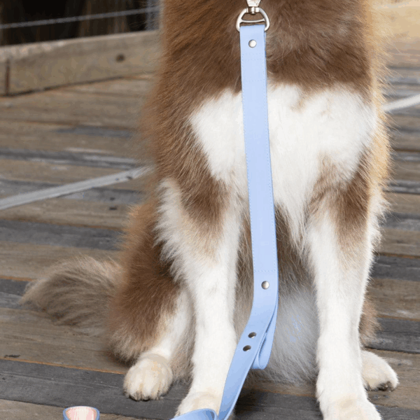 Blue Sky Orchid Waterproof Leash