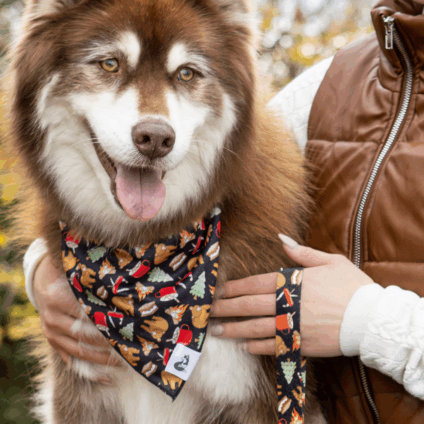 Woodland Tales Dog Bandana & Matching Keychain