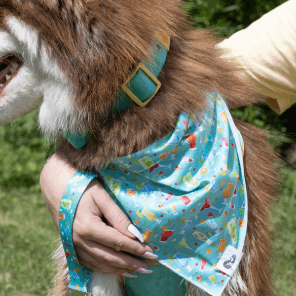Seaside Sips Dog Bandana & Matching Keychain