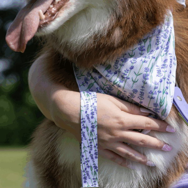 Lavender Blooms Dog Bandana & Matching Keychain