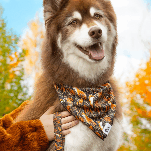 Foxes in Fall Dog Bandana & Matching Keychain