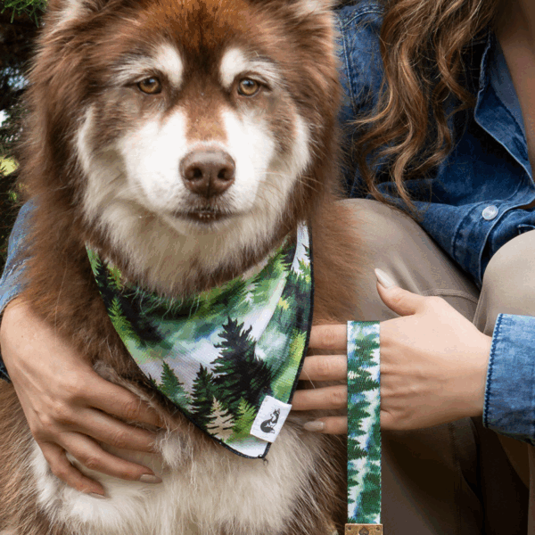 Evergreen Explorer Dog Bandana & Matching Keychain