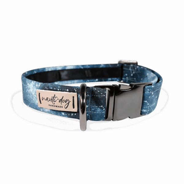 Constellation Astrological Star Chart Buckle & Martingale Dog Collar