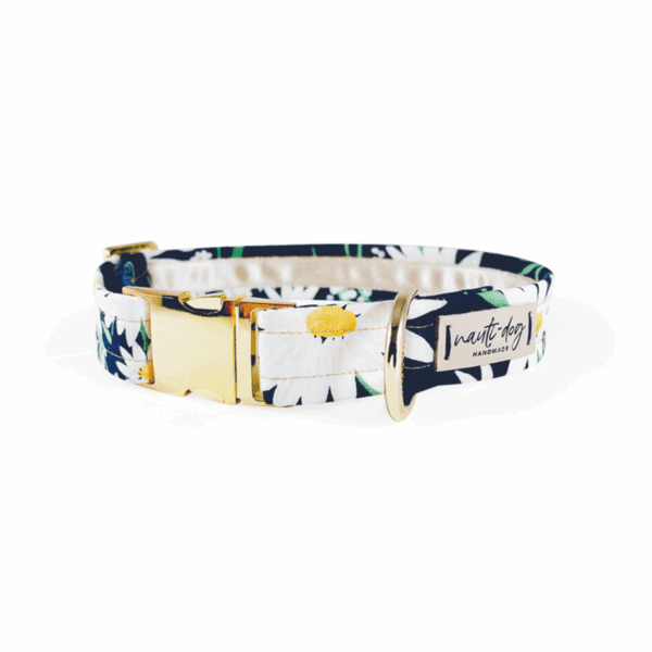 Daisy Summer Navy Floral Buckle & Martingale Dog Collar