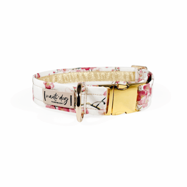 Sakura Japanese Cherry Blossom Floral Buckle & Martingale Dog Collar