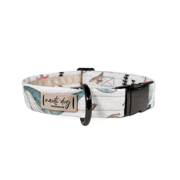 Sea Life Marine Animal Otter, Whale, Seal & Orca Buckle & Martingale Dog Collar