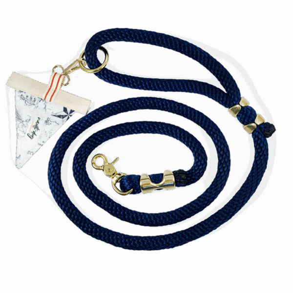 Carta Marina Light Vintage Nautical Toile Premium Rope Leash