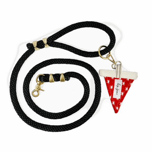 Crabby Red Maryland Crab Coastal Premium Leash