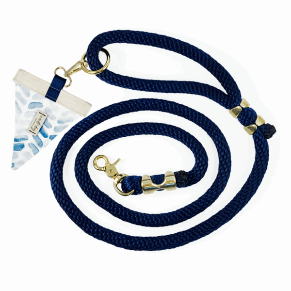 Raindrop Spring Watercolor Blue Herringbone Premium Rope Leash