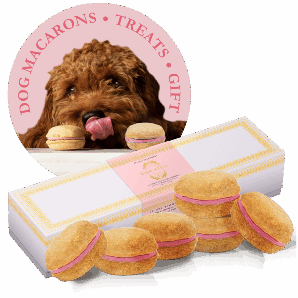 Dog Macarons - Box of 6 (Available in 12 Flavors)