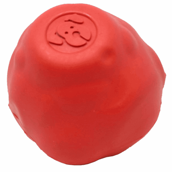 SN Asteroid Ultra Durable Rubber Chew Toy