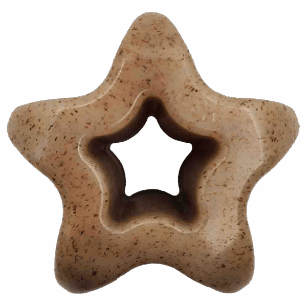 Durable Nylon Star Dog Chew Toy and Enrichment Toy for Aggressive Chewers