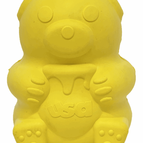 Honey Bear Treat Dispenser