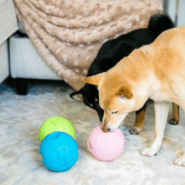 Paw Me! Treat Ball Dispenser
