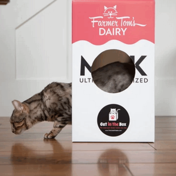 Mega Milk Carton Cardboard Cat House