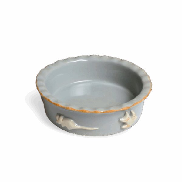 Cat Bowl