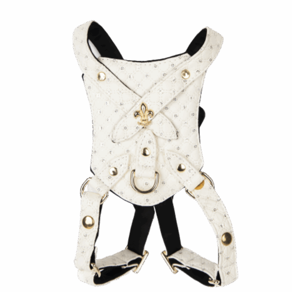 Sparkle Harness