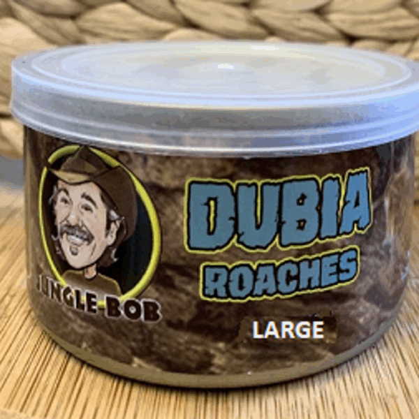 Jungle Bob Dubia Roaches In A Can Large 1.23Oz - Case Of 24 (Approx 25Ct)