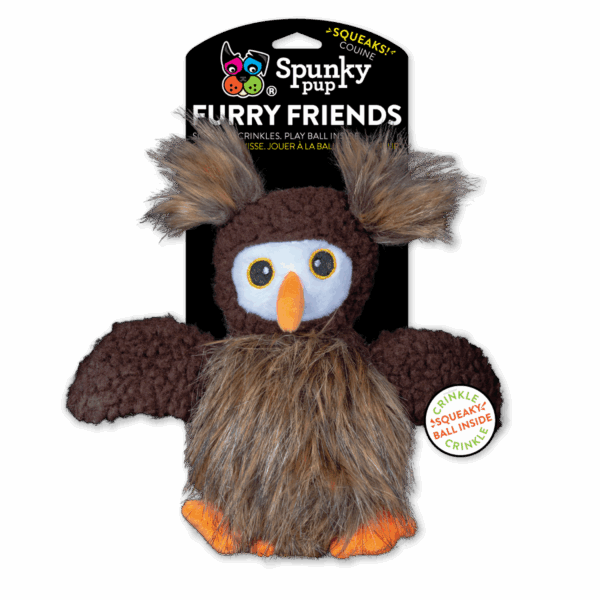 Owl with Ball Squeaker