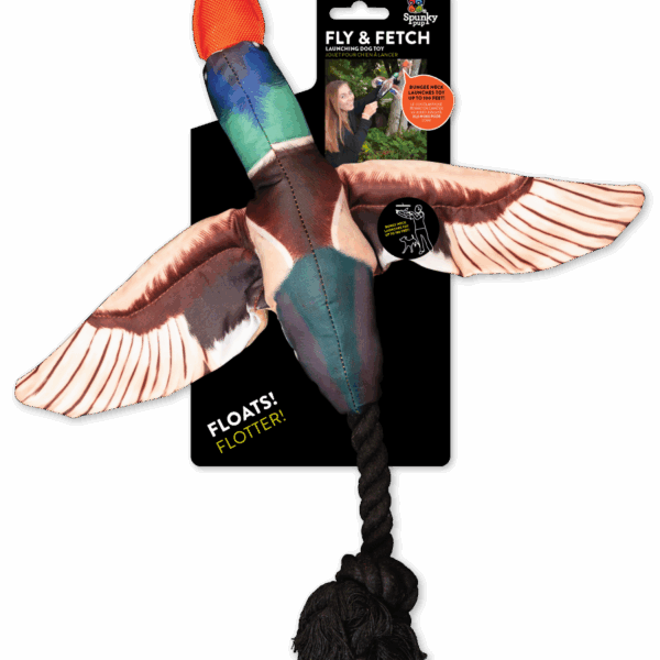 Fly & Fetch Toy