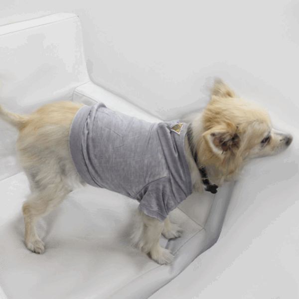 Doggy Hoodie